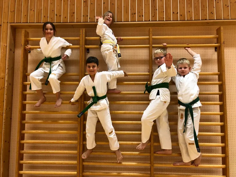 Kinder in Karategi klettern an der Sprossenwand