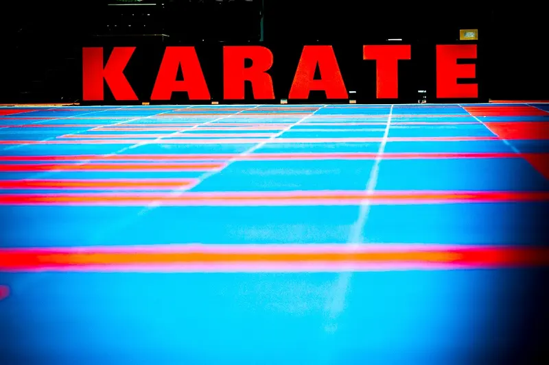 Bodensee Karate Open + Landesmeisterschaft – Foto 3