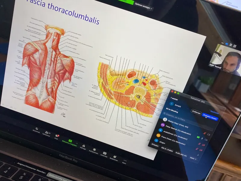 Bildschirm zeigt anatomische Grafik neben Videokonferenz-Kacheln