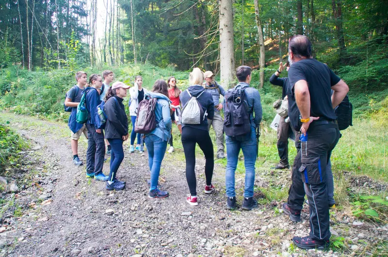 Gruppe errichtet gemeinsam einen Unterschlupf aus Ästen
