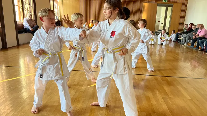 Zwei Kinder trainieren eine schnelle Kumite-Technik