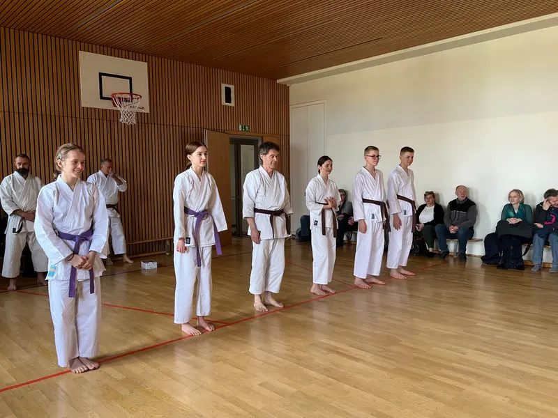 Gruppe steht in einer Reihe, violette Gürtel, Sporthalle