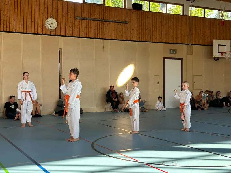 Kind in Karategi steht allein in Kampfstellung auf der Halle