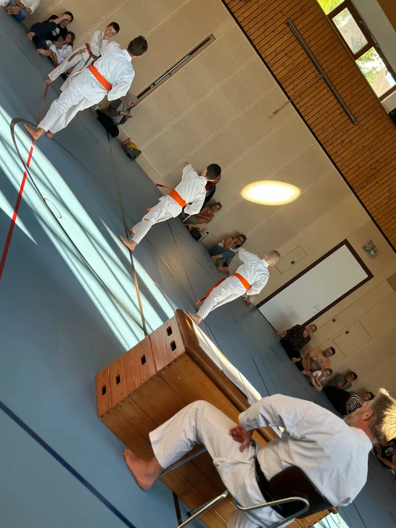 Zwei Kinder mit orangen Gürteln in Grundstellung neben einem Turnkasten