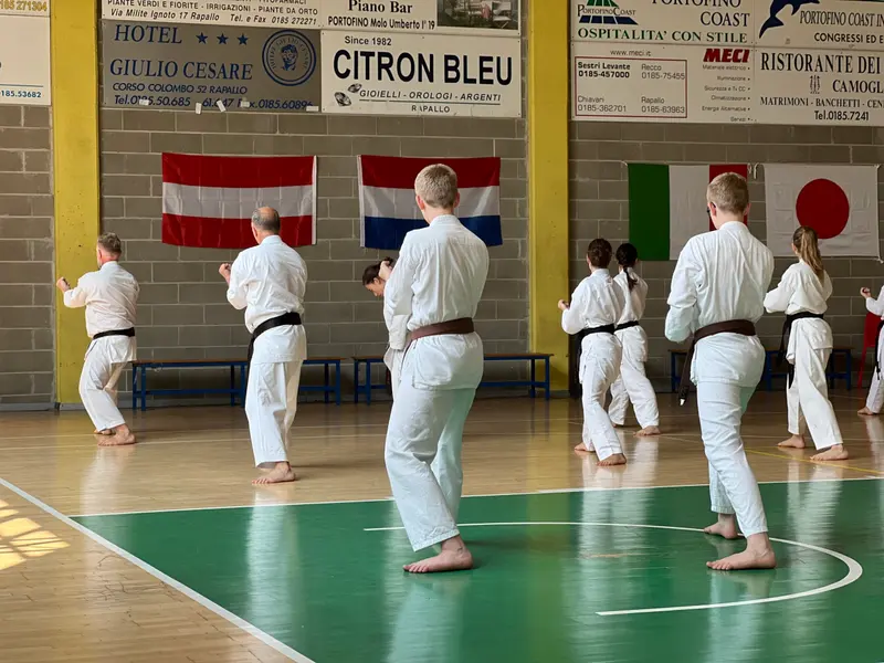 Zwei Personen üben eine Technik in der Sporthalle
