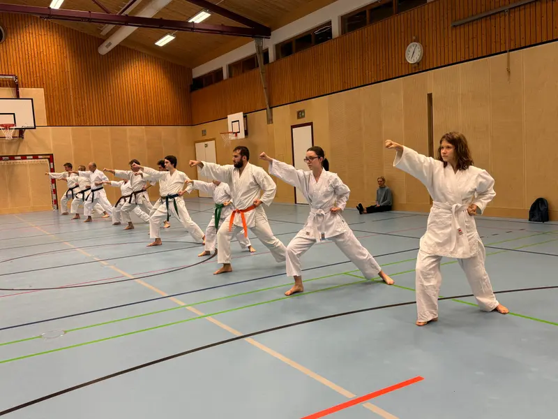 Gruppe in Karategi übt Grundschultechniken in Turnhalle