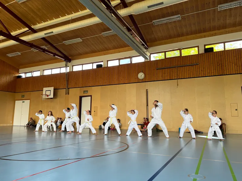 Kinder in Karategi üben gemeinsam eine Stellung in der Turnhalle.