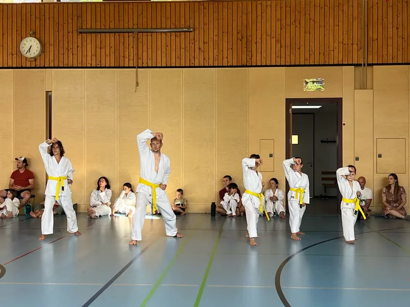 Kinder in Karategi stehen mit erhobenem Arm in einer Reihe.