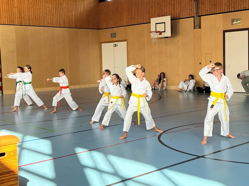 Kinder in Karategi üben gemeinsam eine Stellung in der Halle.