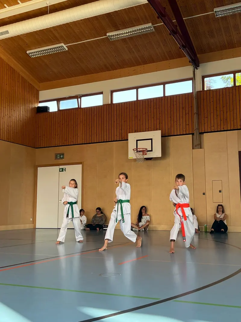 Kinder in Karategi mit unterschiedlichen Gürtelfarben stehen in der Halle.