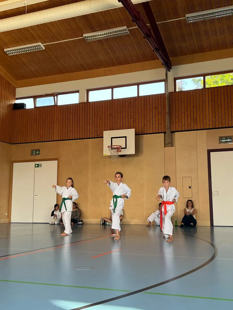 Kinder in Karategi stehen nebeneinander in der Turnhalle.