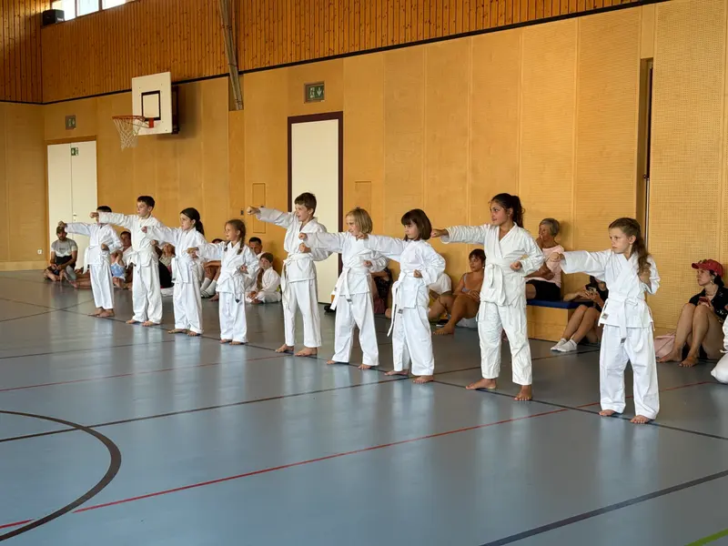 Kinder im Karategi üben eine Kampfstellung in einer Reihe