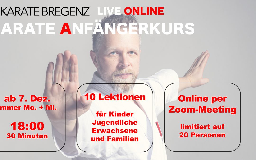 ONLINE KARATE-ANFÄNGERKURS