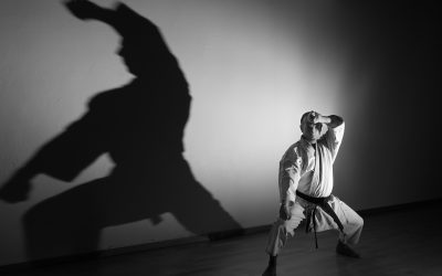 SEMINAR: SILVIO CAMPARI SENSEI