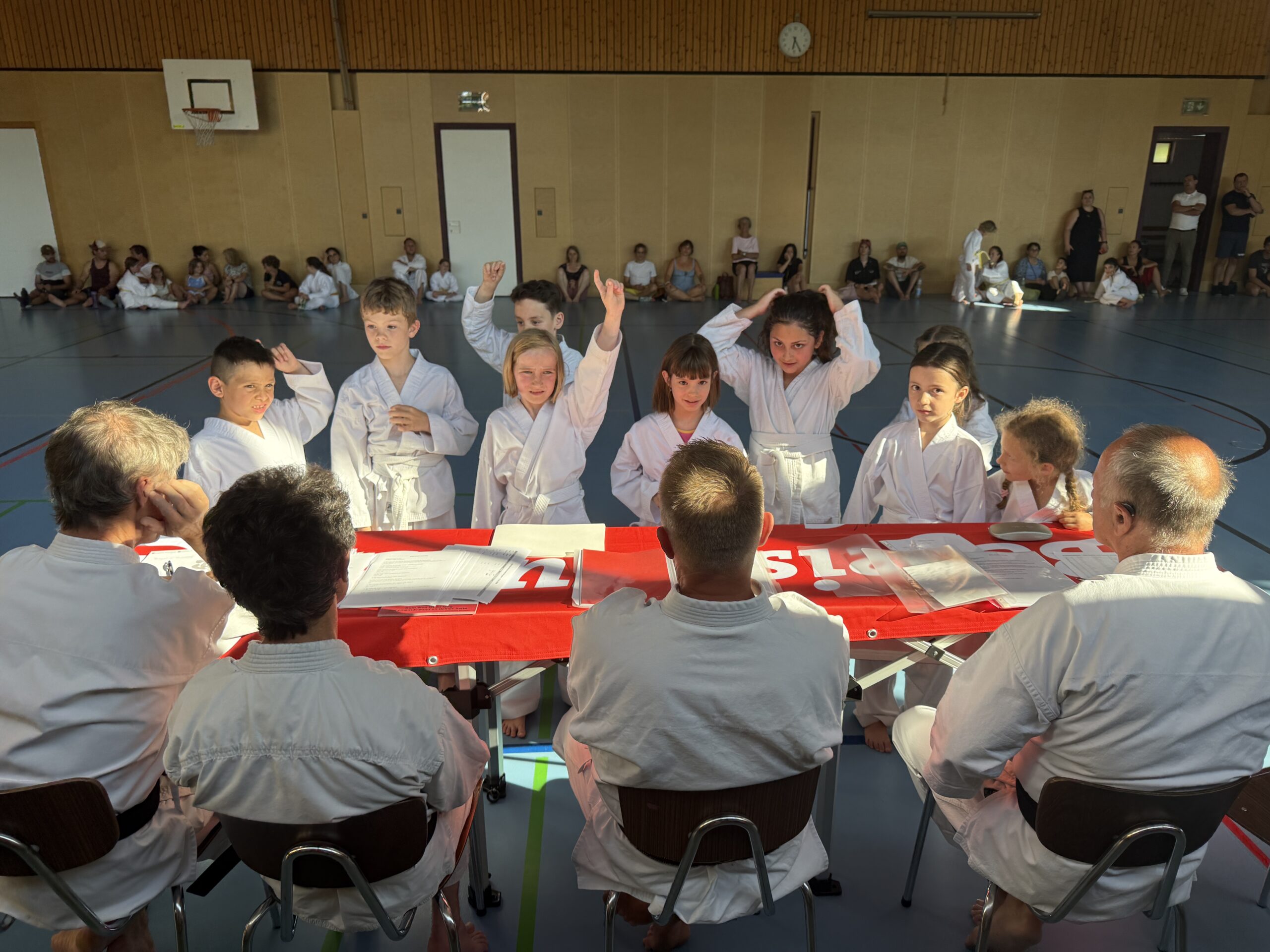 Erfolgreiche Gürtelprüfung bei Karate Bregenz